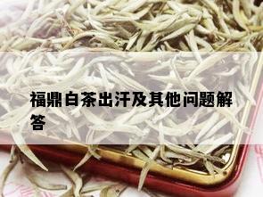 福鼎白茶出汗及其他问题解答