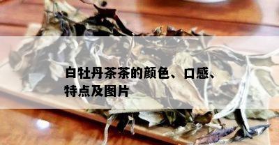 白牡丹茶茶的颜色、口感、特点及图片