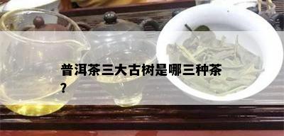 普洱茶三大古树是哪三种茶？