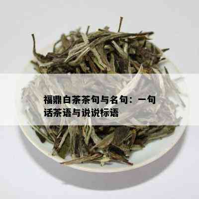 福鼎白茶茶句与名句：一句话茶语与说说标语