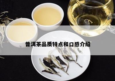 普洱茶品质特点和口感介绍