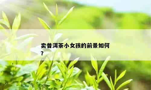 卖普洱茶小女孩的前景如何？