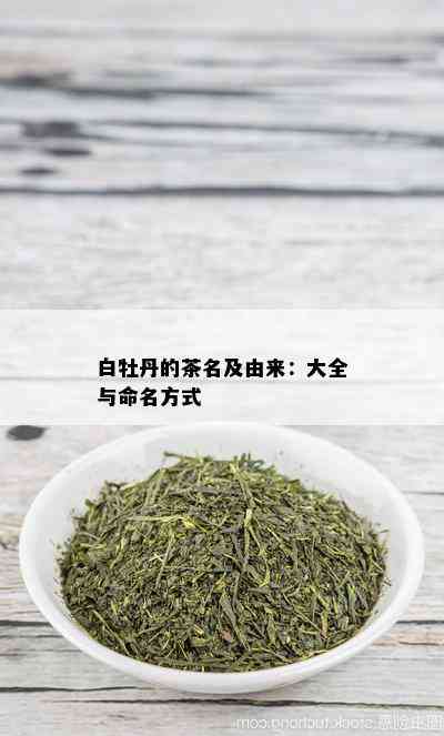 白牡丹的茶名及由来：大全与命名方式