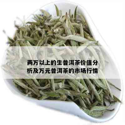 两万以上的生普洱茶价值分析及万元普洱茶的市场行情