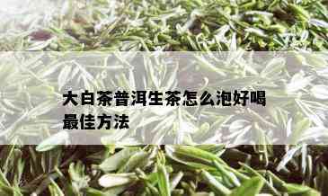 大白茶普洱生茶怎么泡好喝更佳方法