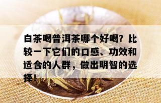 白茶喝普洱茶哪个好喝？比较一下它们的口感、功效和适合的人群，做出明智的选择！