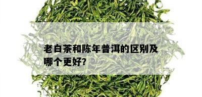 老白茶和陈年普洱的区别及哪个更好？