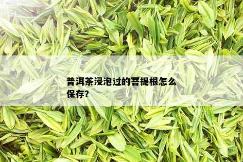 普洱茶浸泡过的菩提根怎么保存？