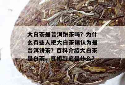 大白茶是普洱饼茶吗？为什么有些人把大白茶误认为是普洱饼茶？百科介绍大白茶是白茶，真相到底是什么？