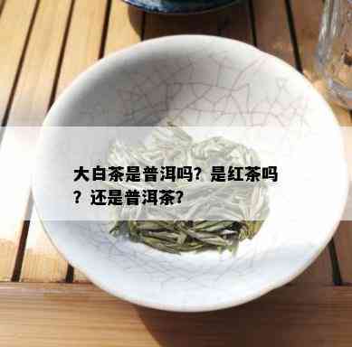 大白茶是普洱吗？是红茶吗？还是普洱茶？