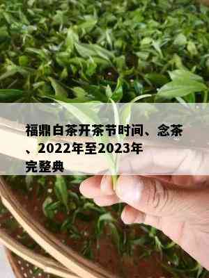 福鼎白茶开茶节时间、念茶、2022年至2023年完整典