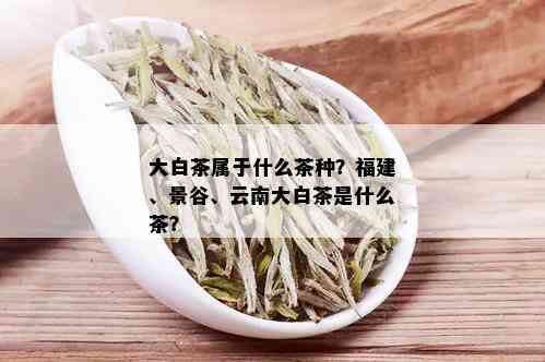 大白茶属于什么茶种？福建、景谷、云南大白茶是什么茶？