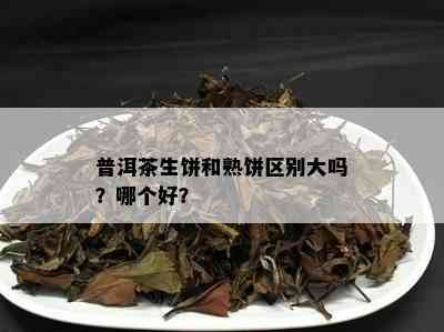 普洱茶生饼和熟饼区别大吗？哪个好？