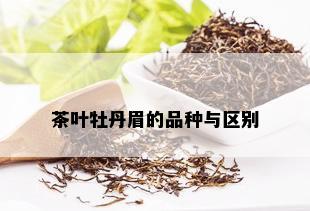 茶叶牡丹眉的品种与区别