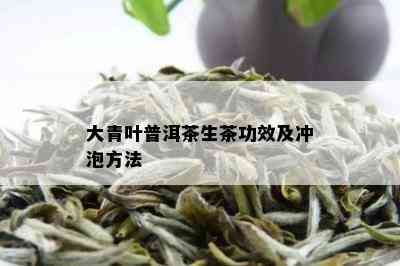 大青叶普洱茶生茶功效及冲泡方法