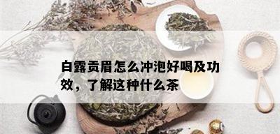 白露贡眉怎么冲泡好喝及功效，了解这种什么茶