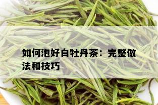 如何泡好白牡丹茶：完整做法和技巧