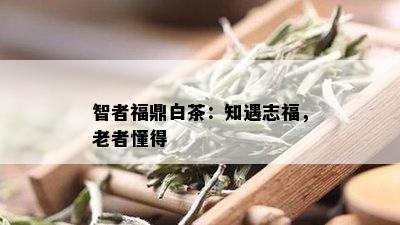 智者福鼎白茶：知遇志福，老者懂得