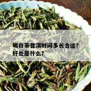 喝白茶普洱时间多长合适？好处是什么？