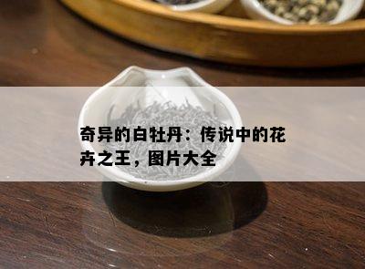 奇异的白牡丹：传说中的花卉之王，图片大全