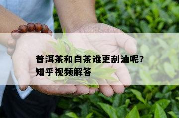 普洱茶和白茶谁更刮油呢？知乎视频解答