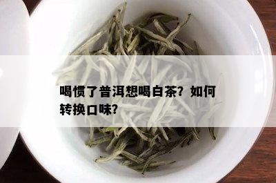 喝惯了普洱想喝白茶？如何转换口味？