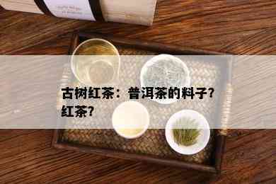 古树红茶：普洱茶的料子？红茶？