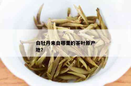 白牡丹来自哪里的茶叶原产地？