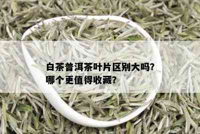 白茶普洱茶叶片区别大吗？哪个更值得收藏？