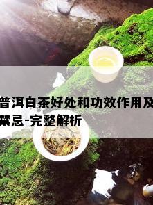 普洱白茶好处和功效作用及禁忌-完整解析