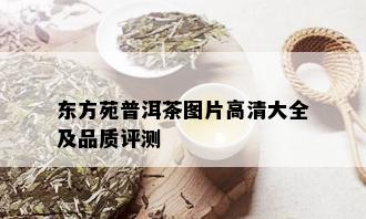 东方苑普洱茶图片高清大全及品质评测