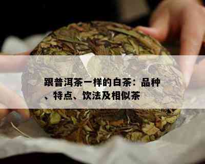 跟普洱茶一样的白茶：品种、特点、饮法及相似茶