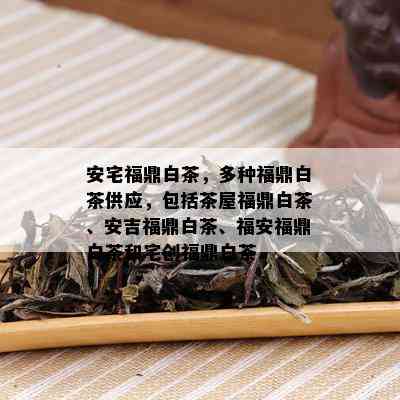 安宅福鼎白茶，多种福鼎白茶供应，包括茶屋福鼎白茶、安吉福鼎白茶、福安福鼎白茶和宅创福鼎白茶