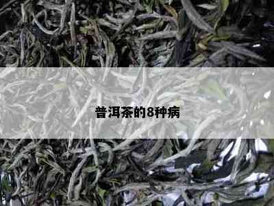 普洱茶的8种病