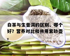 白茶与生普洱的区别、哪个好？营养对比和共用紫砂壶。