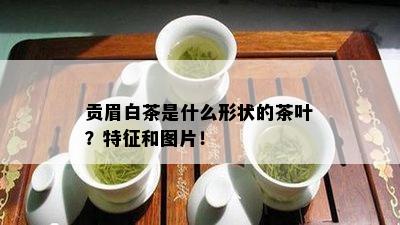 贡眉白茶是什么形状的茶叶？特征和图片！