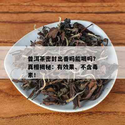 普洱茶密封出香吗能喝吗？真相揭秘：有效果、不含素！