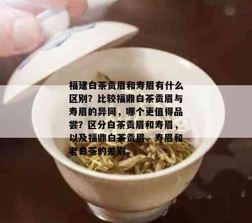 福建白茶贡眉和寿眉有什么区别？比较福鼎白茶贡眉与寿眉的异同，哪个更值得品尝？区分白茶贡眉和寿眉，以及福鼎白茶贡眉、寿眉和老白茶的差别。