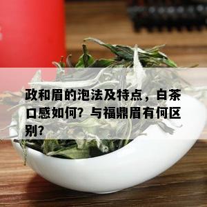 政和眉的泡法及特点，白茶口感如何？与福鼎眉有何区别？