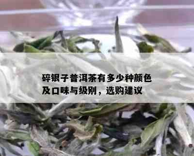 碎银子普洱茶有多少种颜色及口味与级别，选购建议