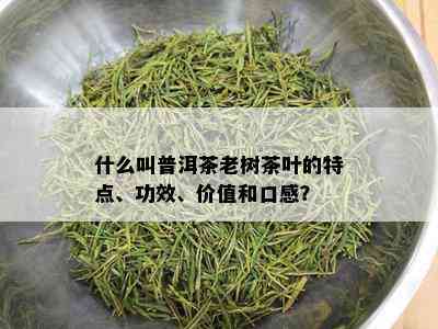 什么叫普洱茶老树茶叶的特点、功效、价值和口感？