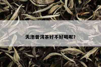 天泡普洱茶好不好喝呢？