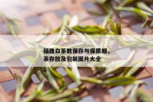 福鼎白茶散保存与保质期，茶存放及包装图片大全