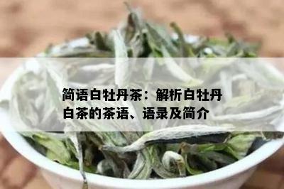 简语白牡丹茶：解析白牡丹白茶的茶语、语录及简介