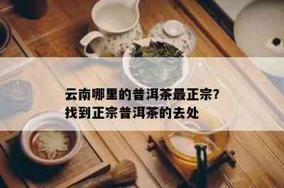 云南哪里的普洱茶最正宗？找到正宗普洱茶的去处