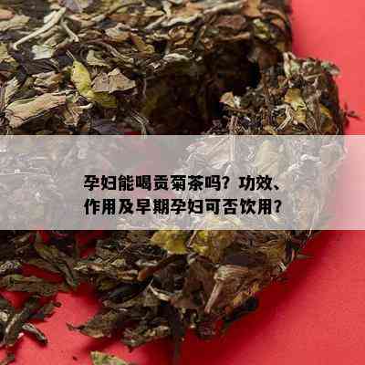 孕妇能喝贡菊茶吗？功效、作用及早期孕妇可否饮用？