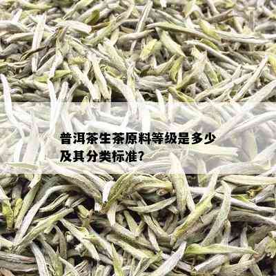 普洱茶生茶原料等级是多少及其分类标准？