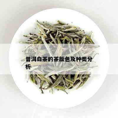 普洱白茶的茶颜色及种类分析