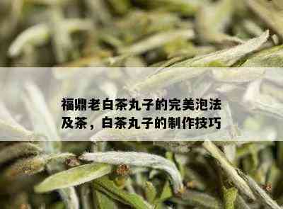 福鼎老白茶丸子的完美泡法及茶，白茶丸子的制作技巧