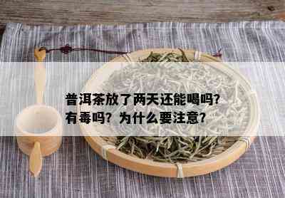 普洱茶放了两天还能喝吗？有吗？为什么要注意？